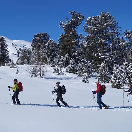 Hotell Alpina Mountain Resort